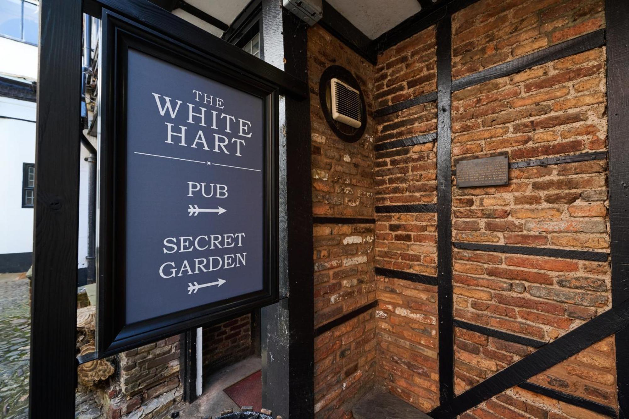 马斯顿白牡鹿酒店 埃克塞特 外观 照片